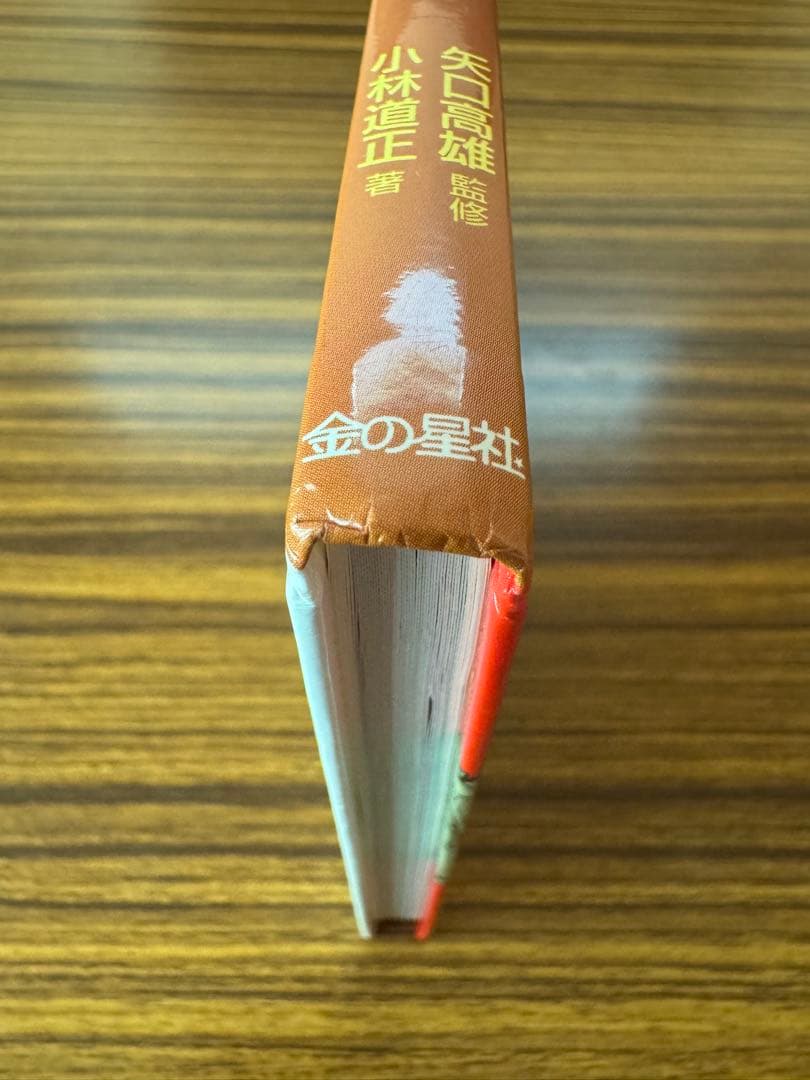 図書館版 よくつれる！超カンタンつり入門 ルアーにチャレンジ！矢口高雄 小林道正