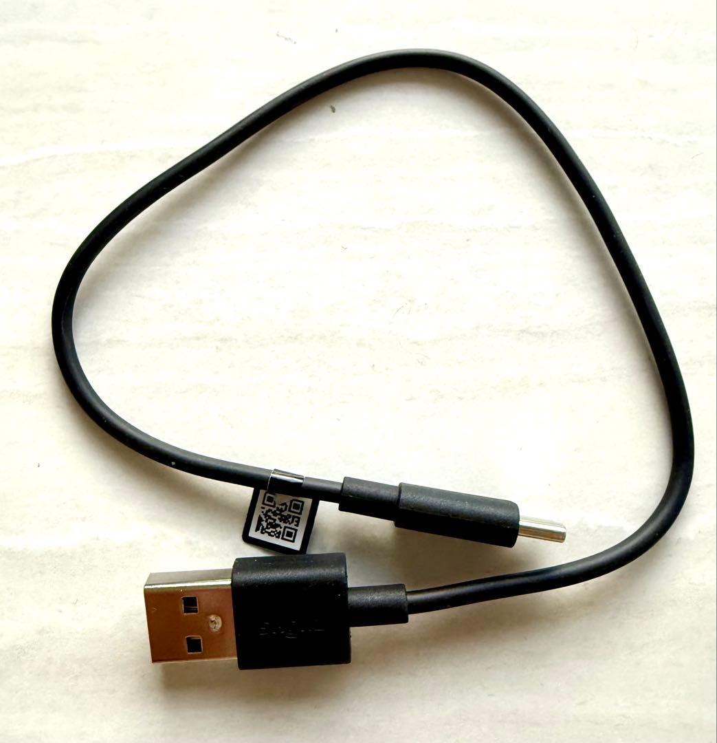 イヤホン OpenRun Pro 2 Mini Orange