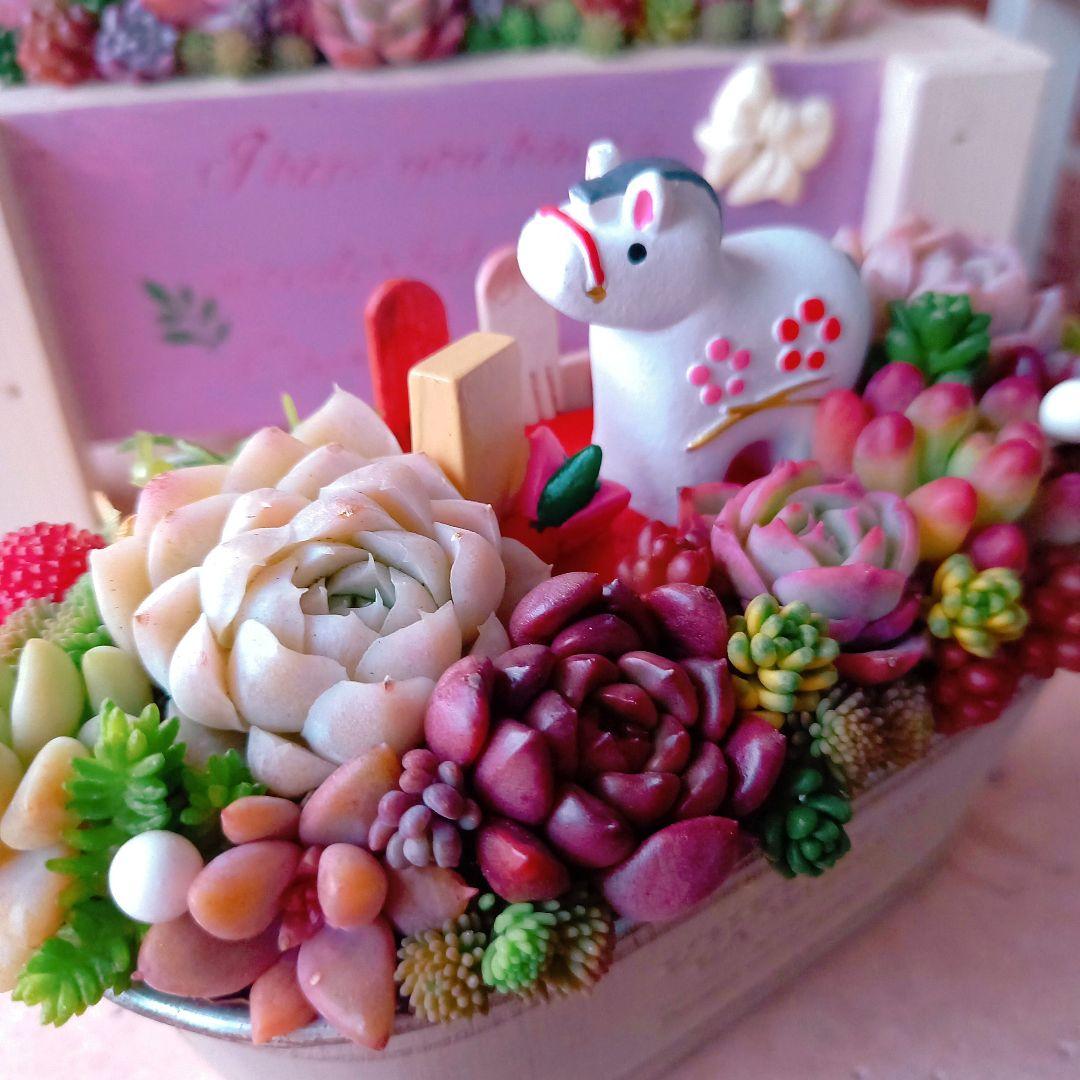 ❤️専用❤️多肉植物❤️そのまま飾れる寄せ植え❤️