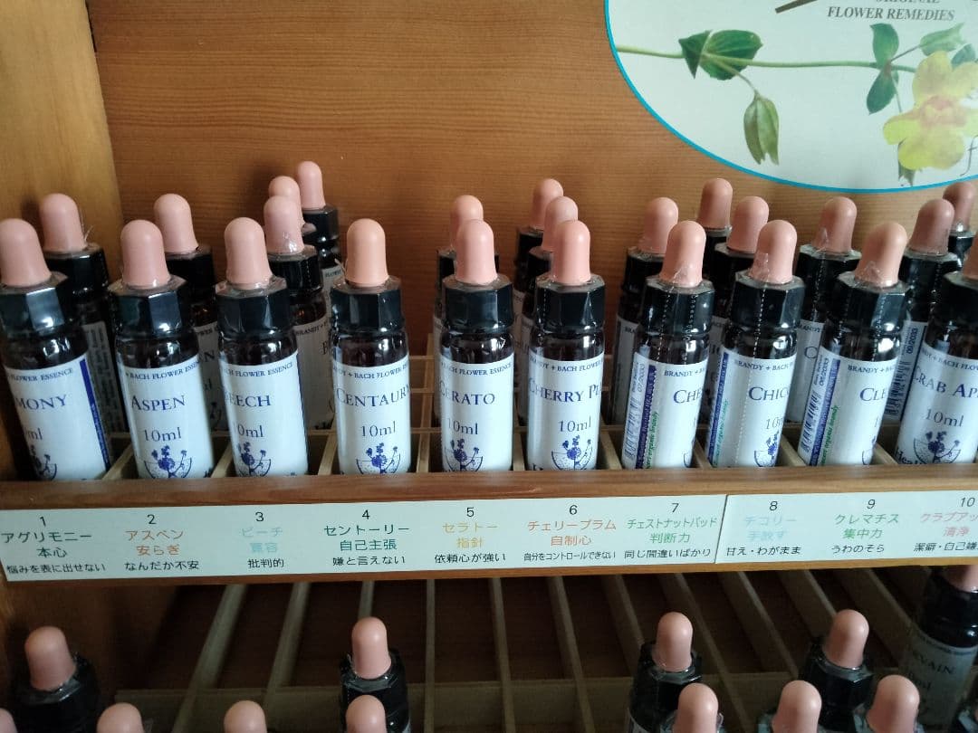たろう様1760+1660×8=15040ヒーリングハーブス社フラワーエッセンス