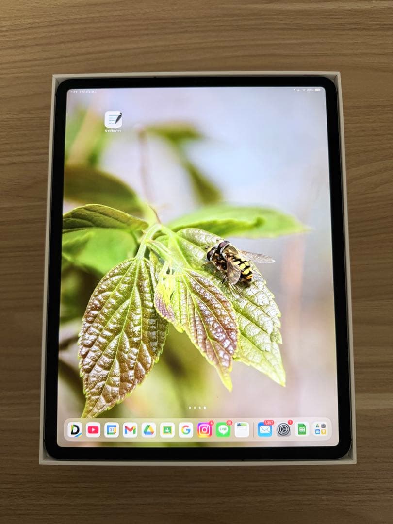 iPad Pro 12.9 512GB Wi-Fi + Cellular モデル