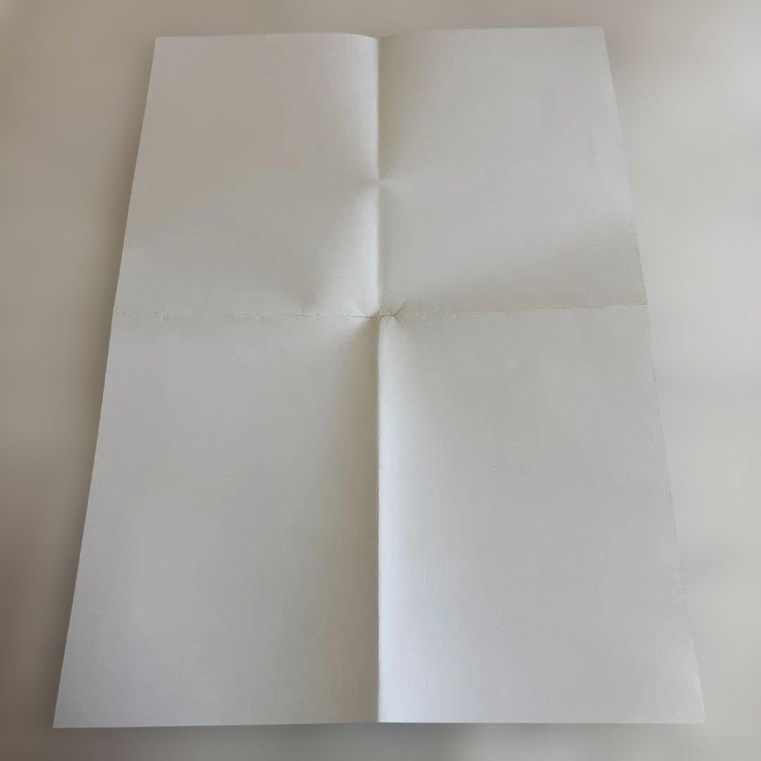 この恋は不可抗力ost ポスター２種付き　ロウン