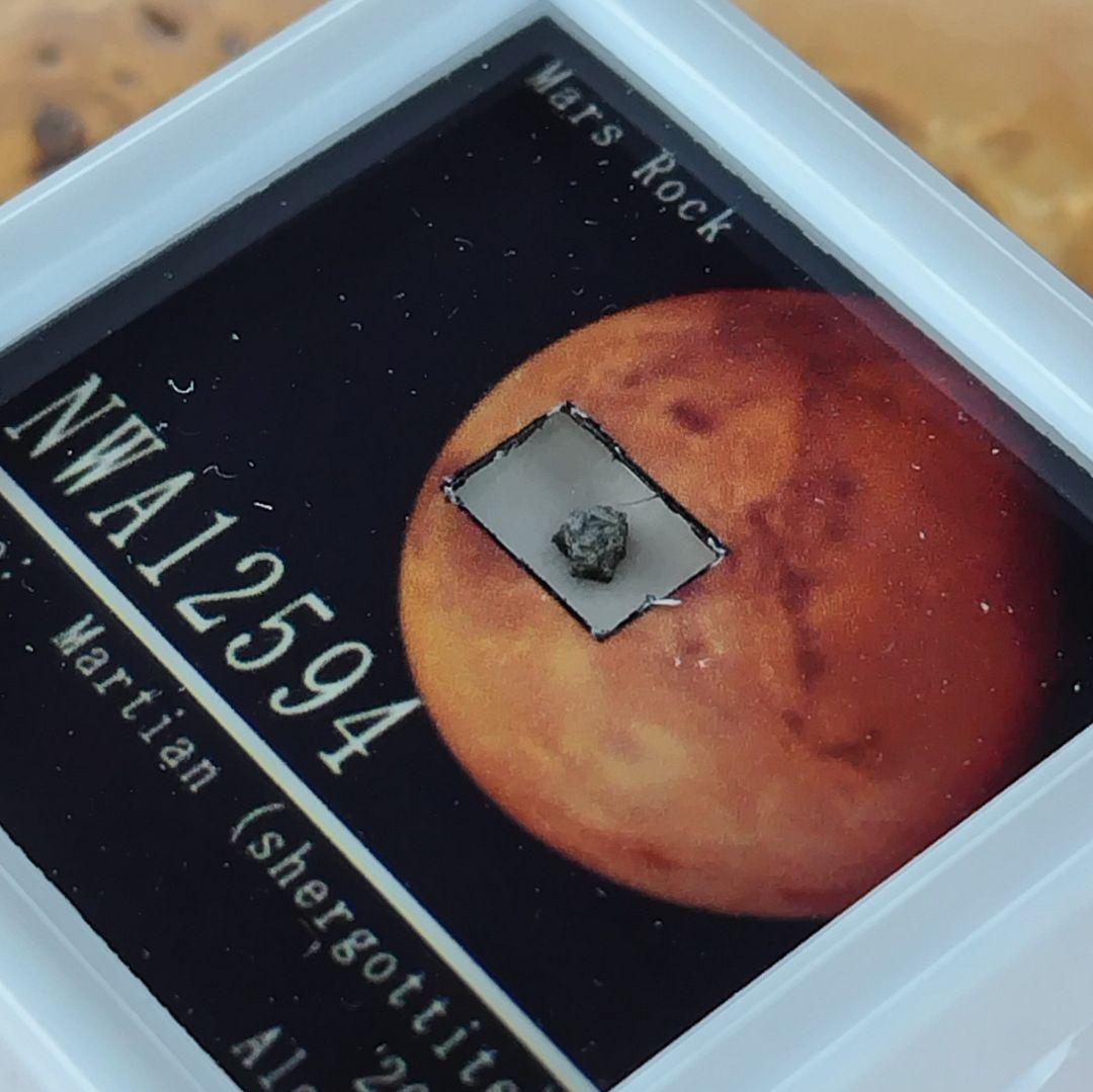⭐火星の石！シャーッゴッタイト　 NWA 12594　隕石標本