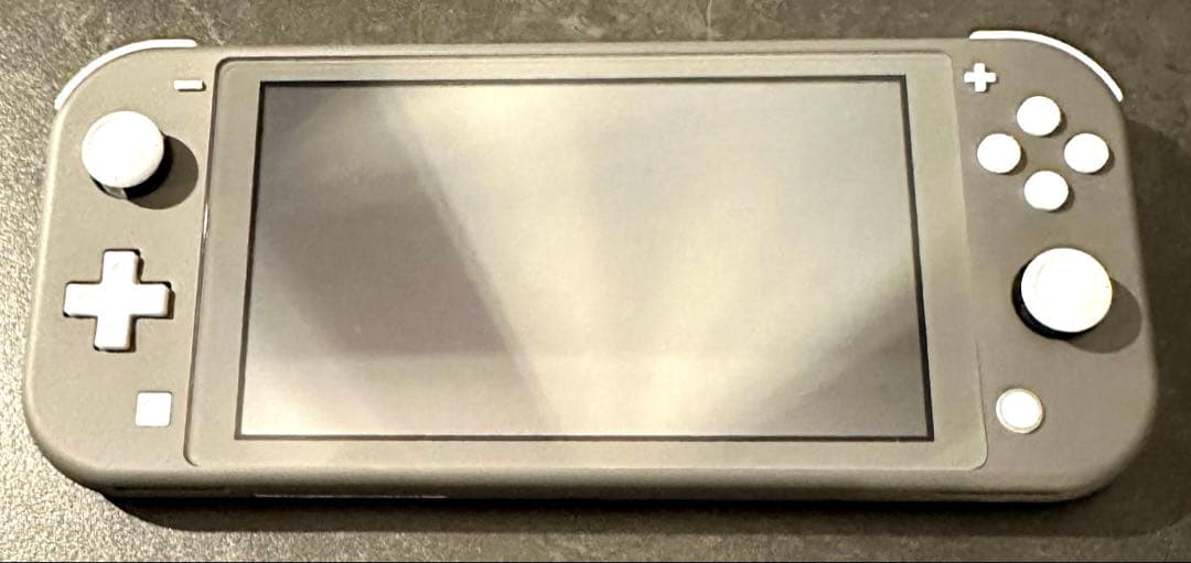 Nintendo Switch Lite グレー 本体 ＆ カバー セット