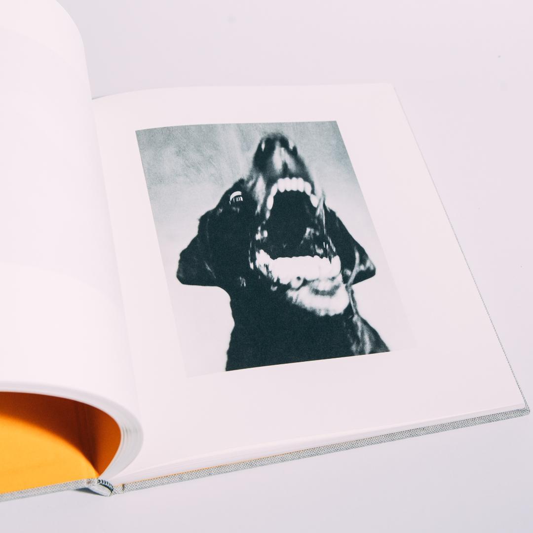 Jack Davison Photographs ジャック・デイヴィソン 写真集