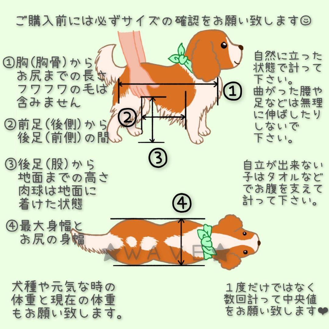 rouken.seta　犬用車椅子　犬の車いす　歩行補助　犬の車いす　老犬