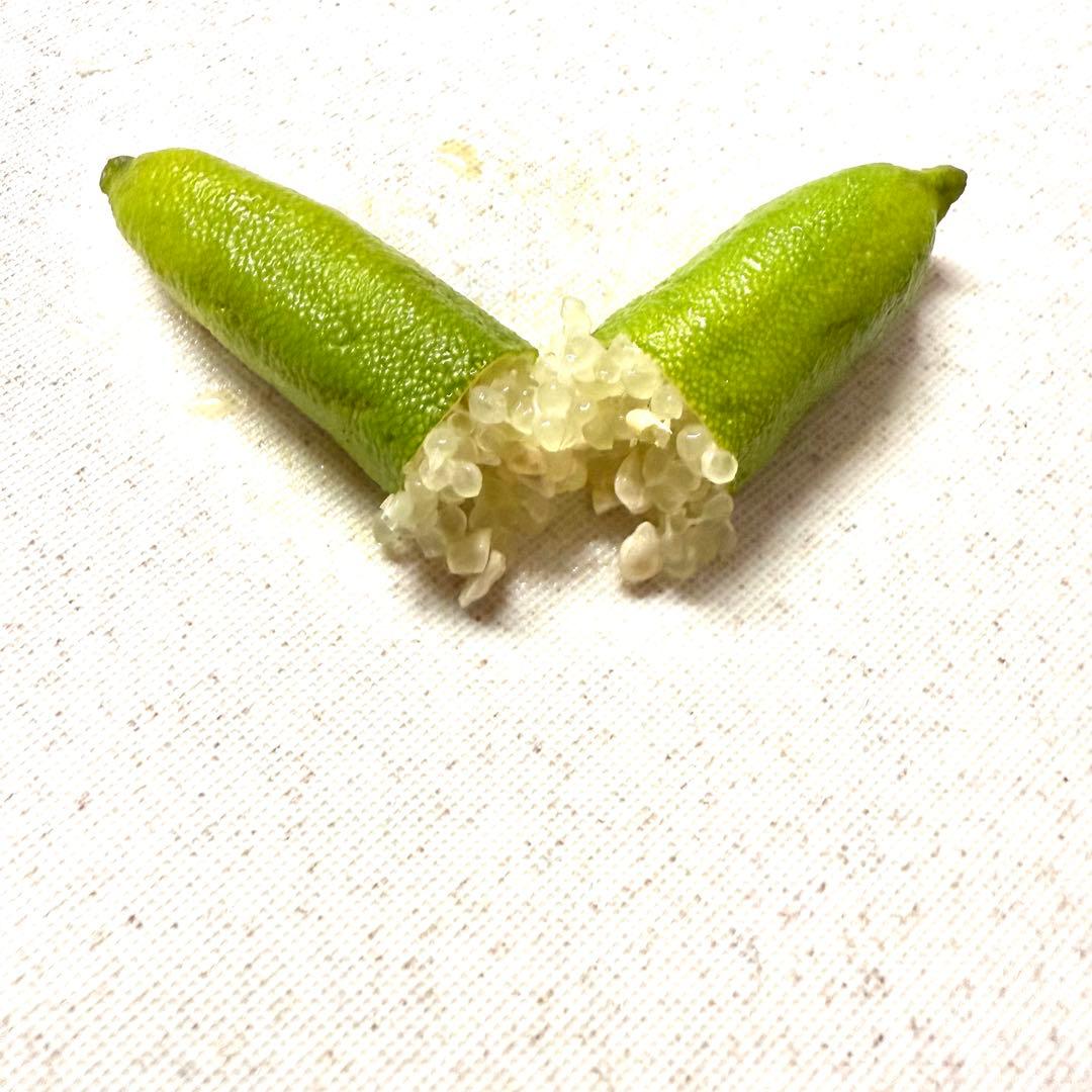 フィンガーライム　お問い合わせ　柑橘　レモン　ライム