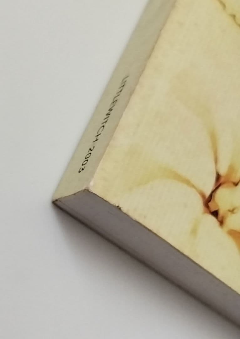 16日削除 Little witch白詰草話全原画集 2003 大槍葦人