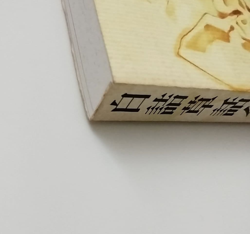 16日削除 Little witch白詰草話全原画集 2003 大槍葦人