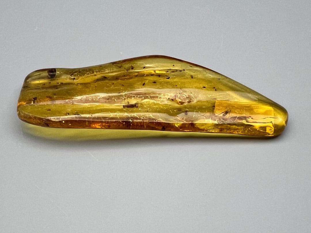 虫入り琥珀　蜘蛛　蚊　大量小さい虫内包　バルティックアンバー　バルト海沿岸地域産