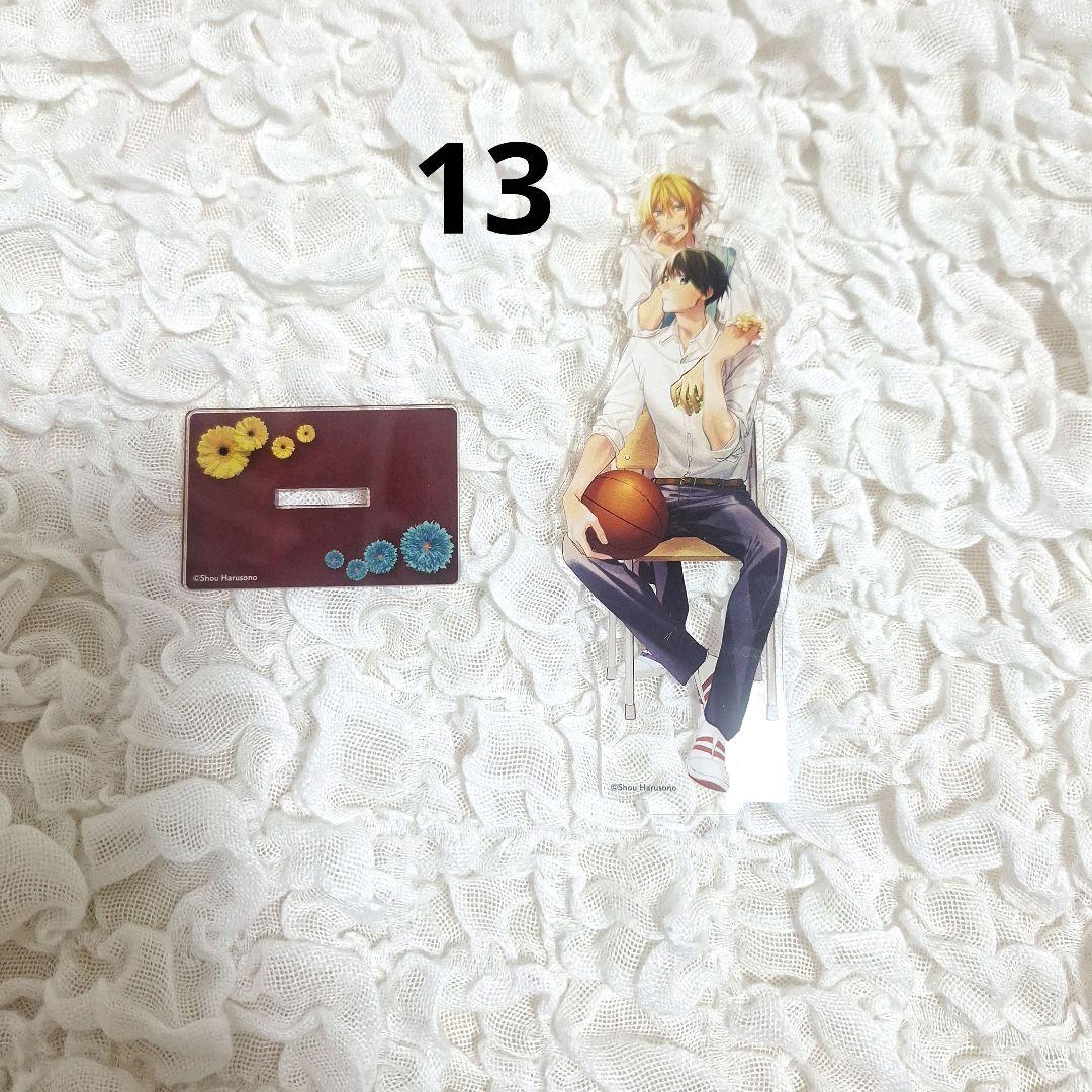 平野と鍵浦 平野大河 まとめ売り