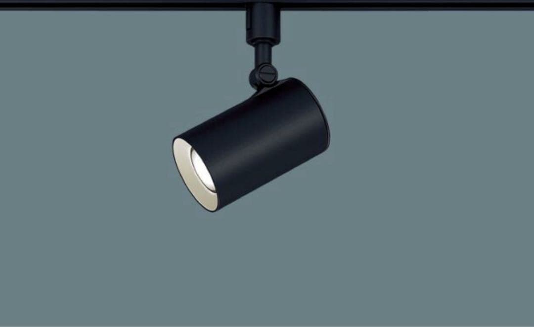 Panasonic LEDスポットライト LGS3501LLE1【2個】