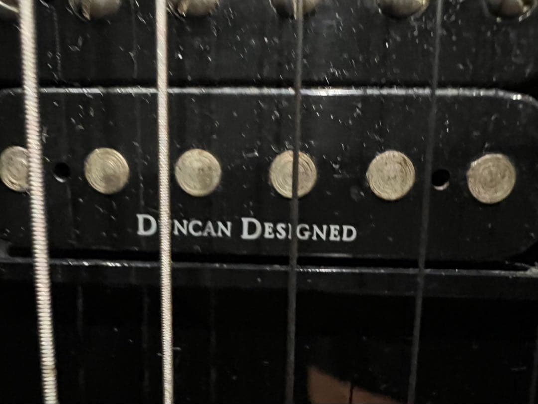 Bernice Tan＊グラスルーツ フォレストタイプ エレキギター