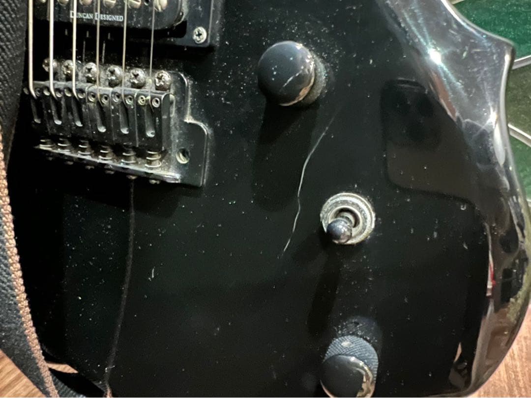 Bernice Tan＊グラスルーツ フォレストタイプ エレキギター