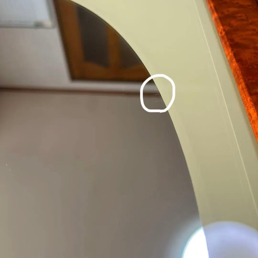 壁掛け鏡 曲線デザイン 植物イラスト付き