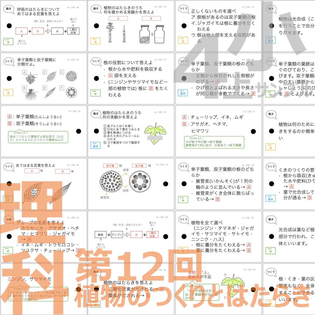 中学受験 暗記カード【4年上 社会・理科 11-14回】組分けテスト対策 予シリ