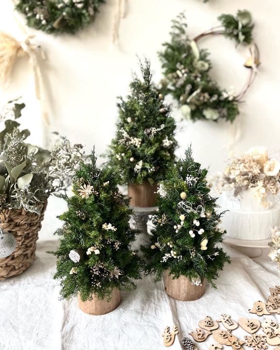 ✳︎new arrival✳︎christmas treeクリスマスツリー