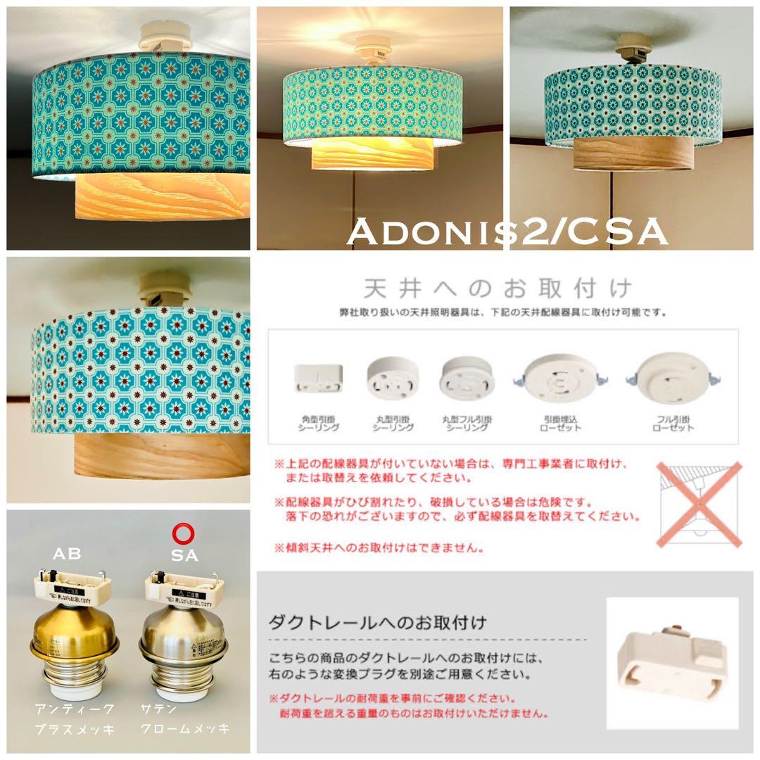 天井照明 シーリングライト Adonis2/CSA E26 LED レトロ 北欧