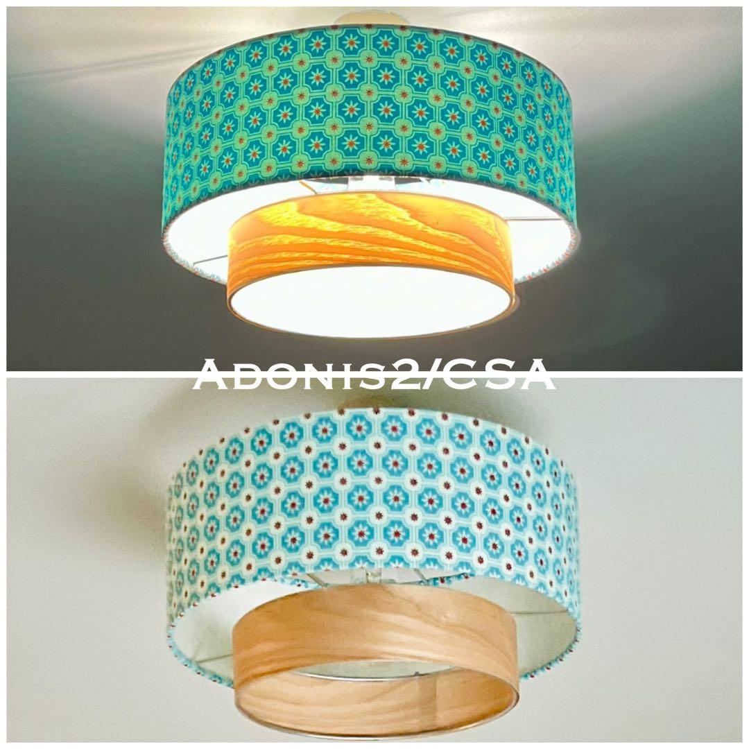 天井照明 シーリングライト Adonis2/CSA E26 LED レトロ 北欧