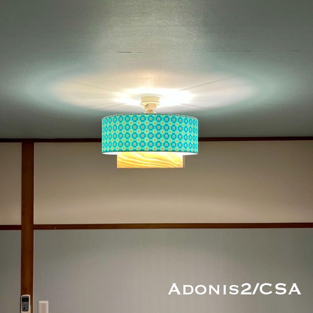 天井照明 シーリングライト Adonis2/CSA E26 LED レトロ 北欧