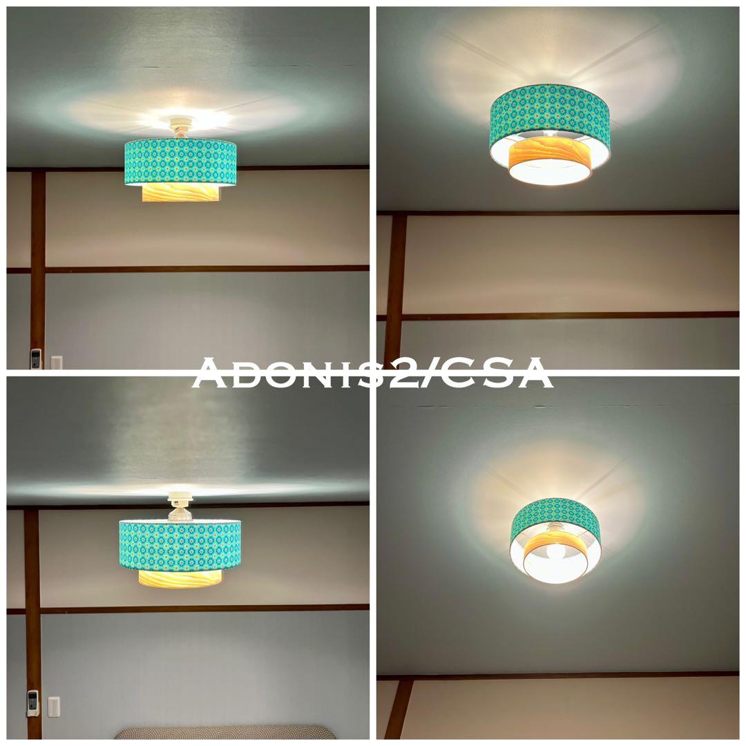 天井照明 シーリングライト Adonis2/CSA E26 LED レトロ 北欧