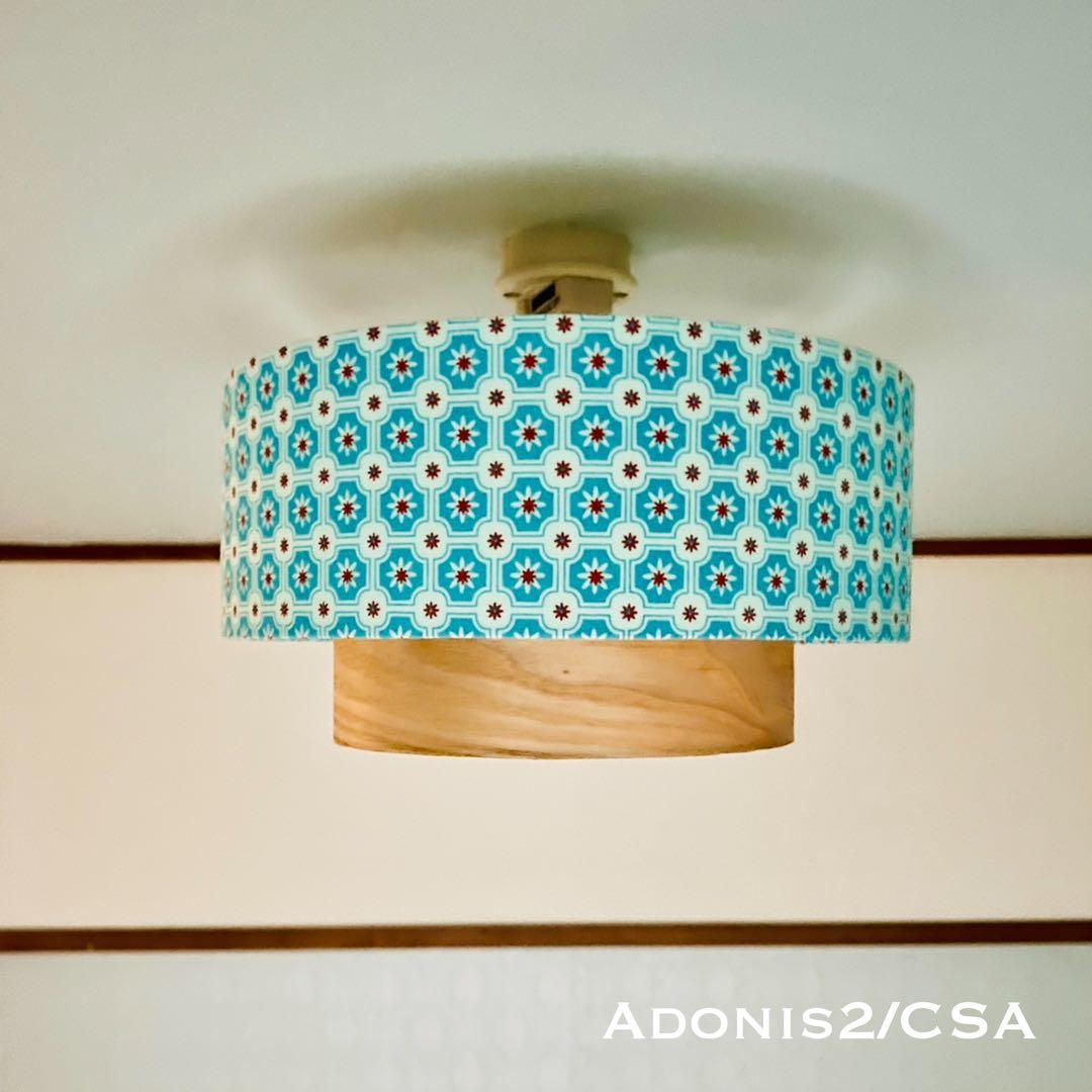 天井照明 シーリングライト Adonis2/CSA E26 LED レトロ 北欧