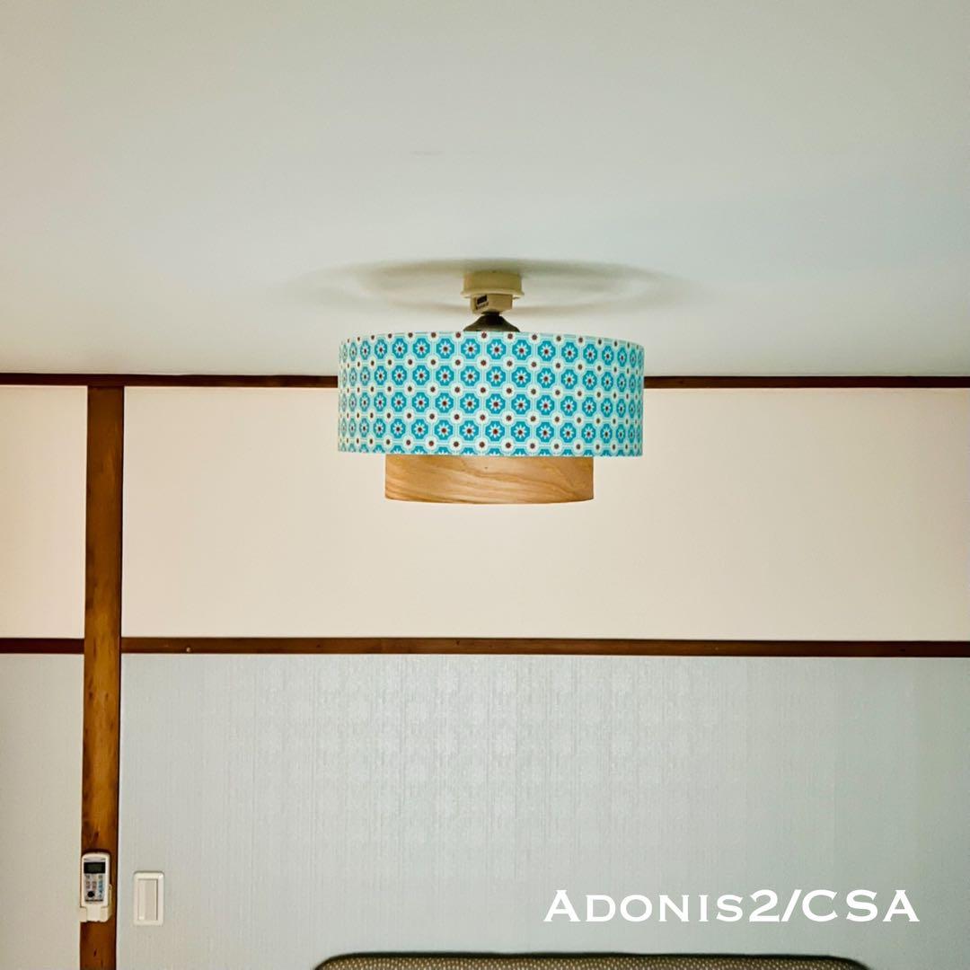天井照明 シーリングライト Adonis2/CSA E26 LED レトロ 北欧