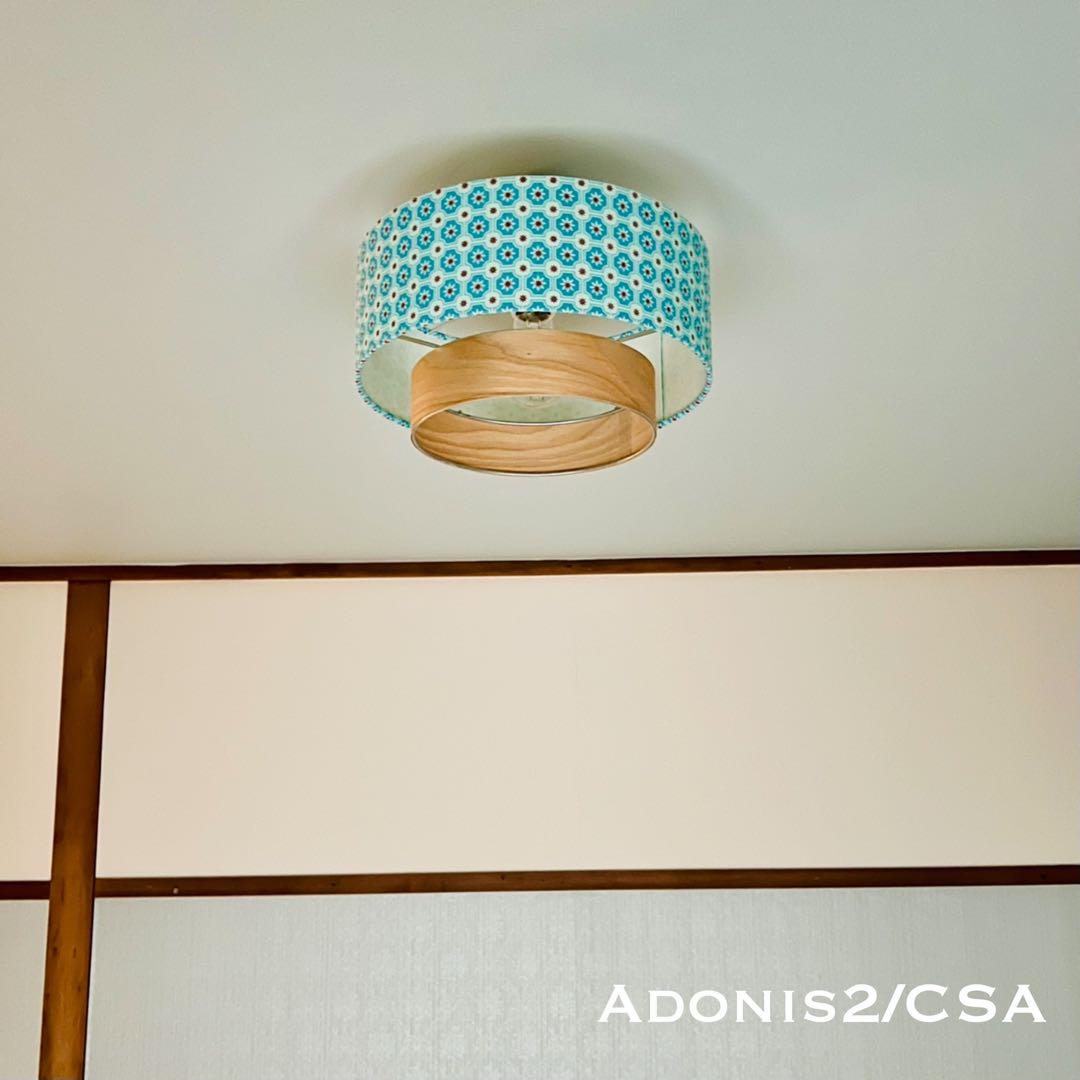 天井照明 シーリングライト Adonis2/CSA E26 LED レトロ 北欧