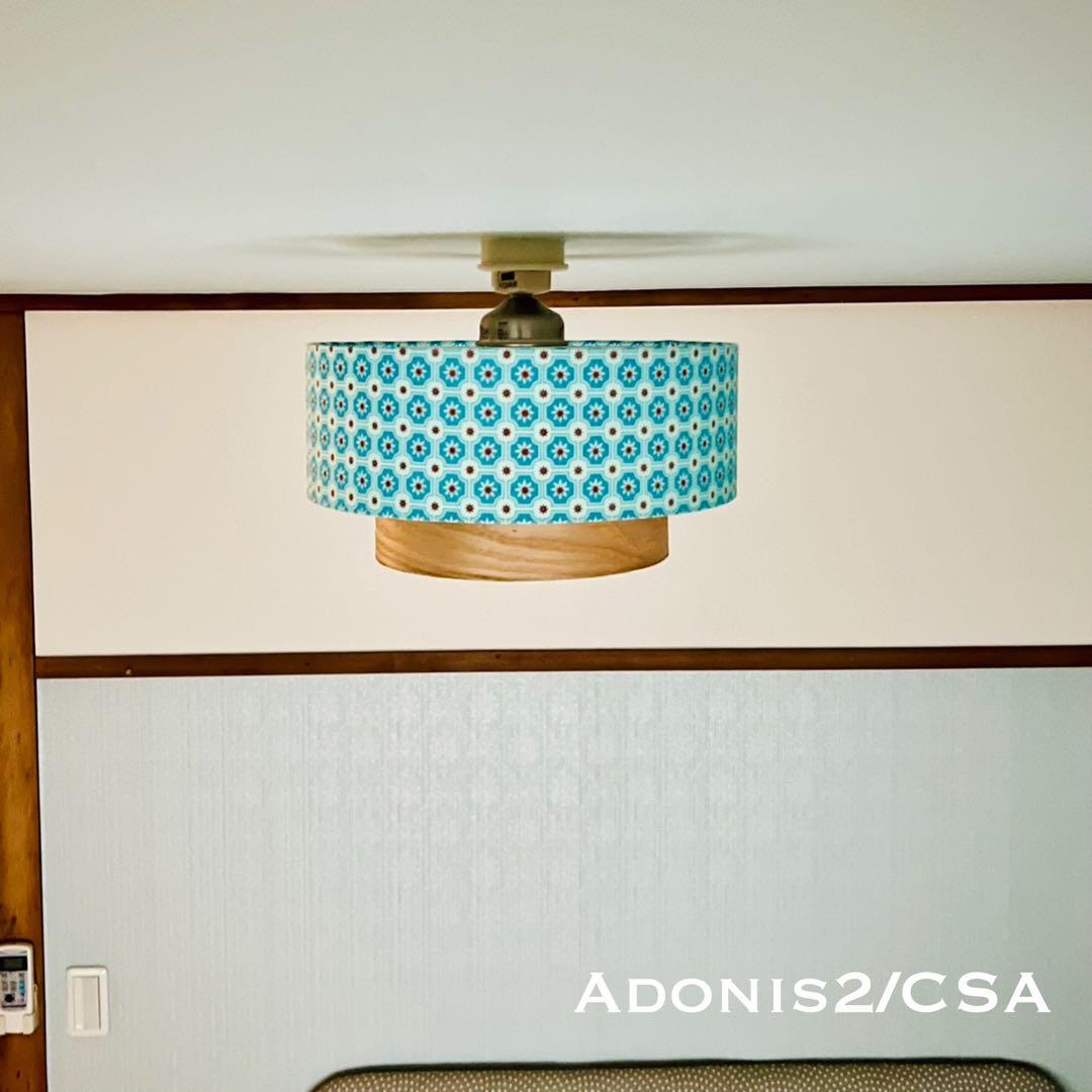 天井照明 シーリングライト Adonis2/CSA E26 LED レトロ 北欧