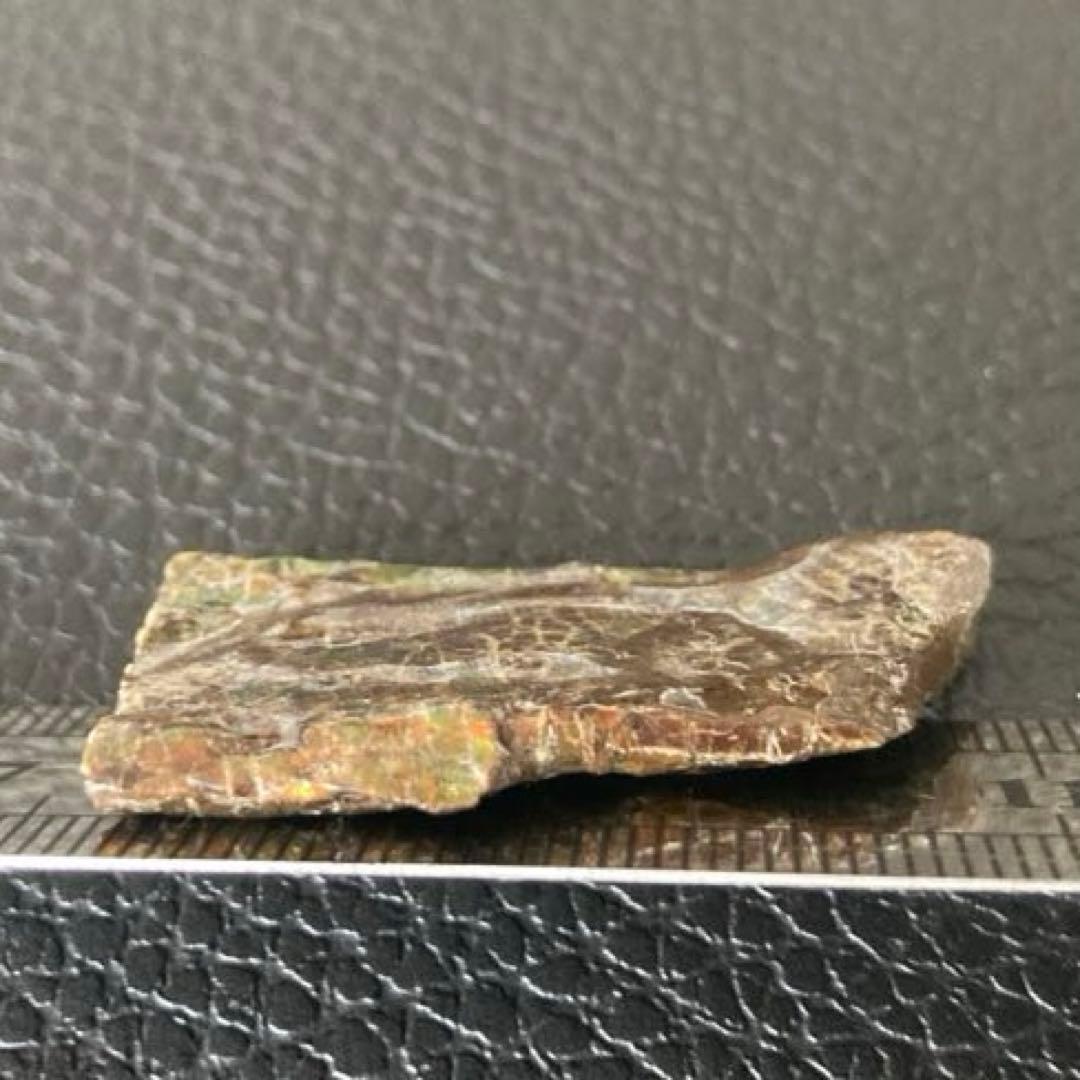 アンモライト　両面　化石　天然石 ルース