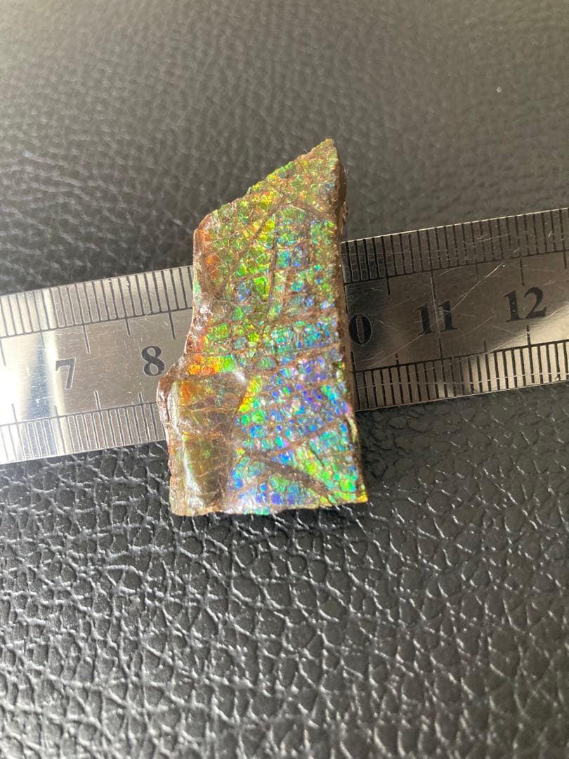 アンモライト　両面　化石　天然石 ルース