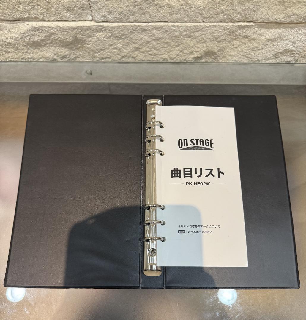 ON STAGE オン・ステージ パーソナルカラオケ PK-NE02W 中古品