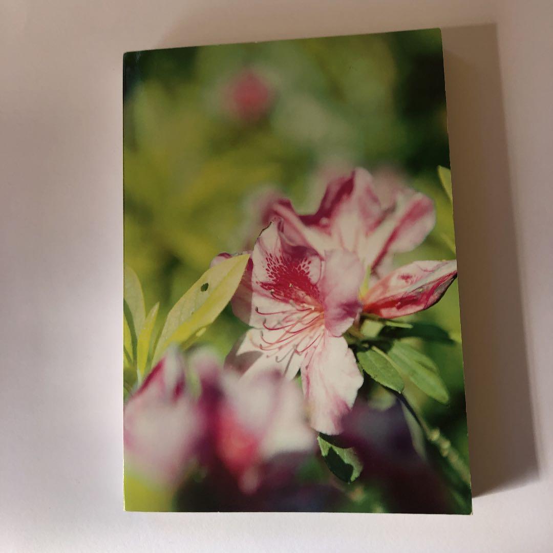 『 すばらしいフィッシュマンズの本 公式版 』