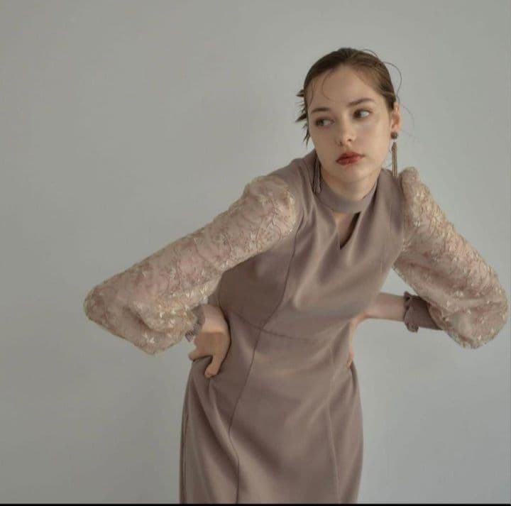 ANDRESD アンドレスド スリーブエンブロイダリードレス ベージュS