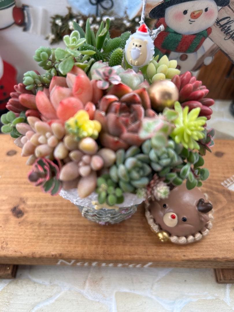 ✳︎専用です✳︎多肉植物そのまま飾れる✳︎Xmas素焼きリメイク鉢　ブルー色