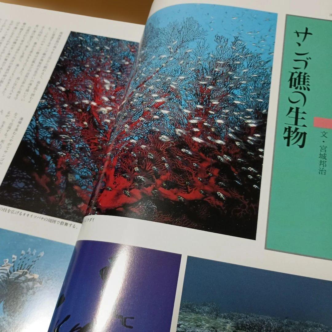 沖縄県風土記 限定版