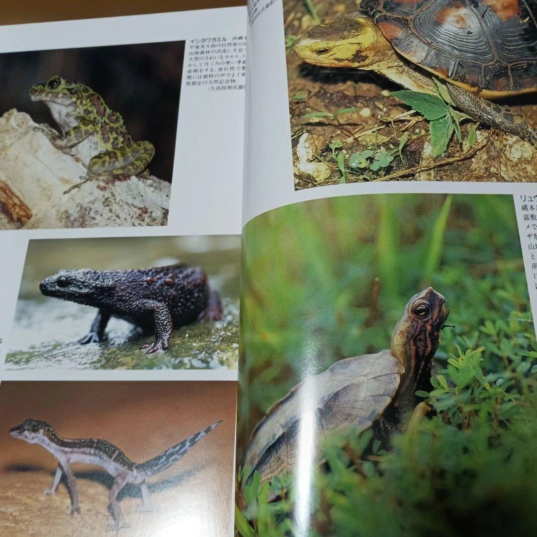 沖縄県風土記 限定版