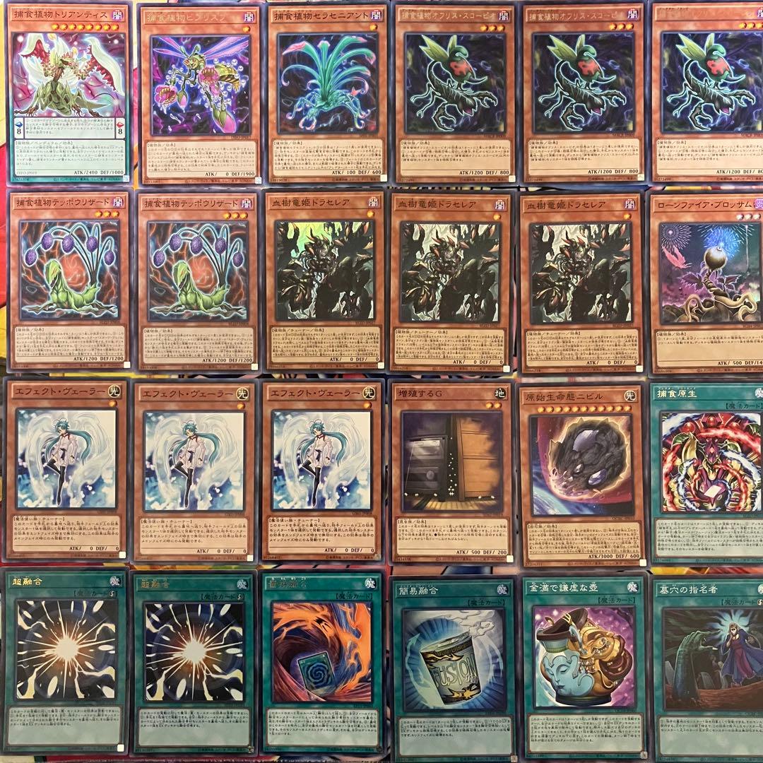 捕食植物 プレデタープランツ デッキ 遊戯王 Predaplant deck b