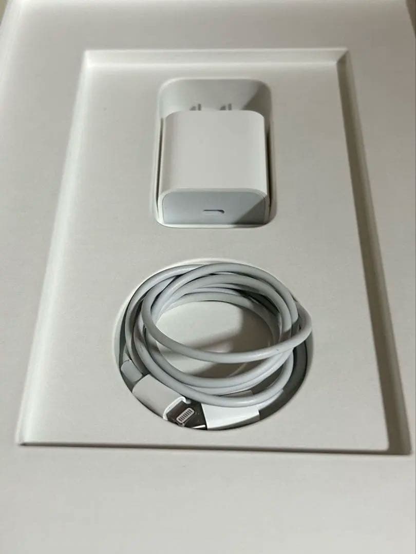 Apple iPad (第9世代) 64GB シルバー 本体 充電器付