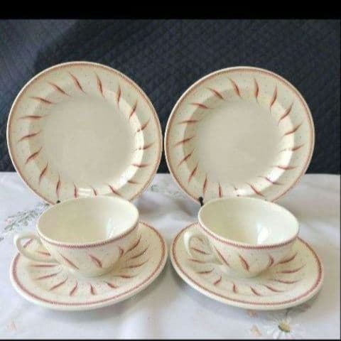 ほぼ未使用、スージークーパー「ピンクファーン」二人用ティーセット、９点セット