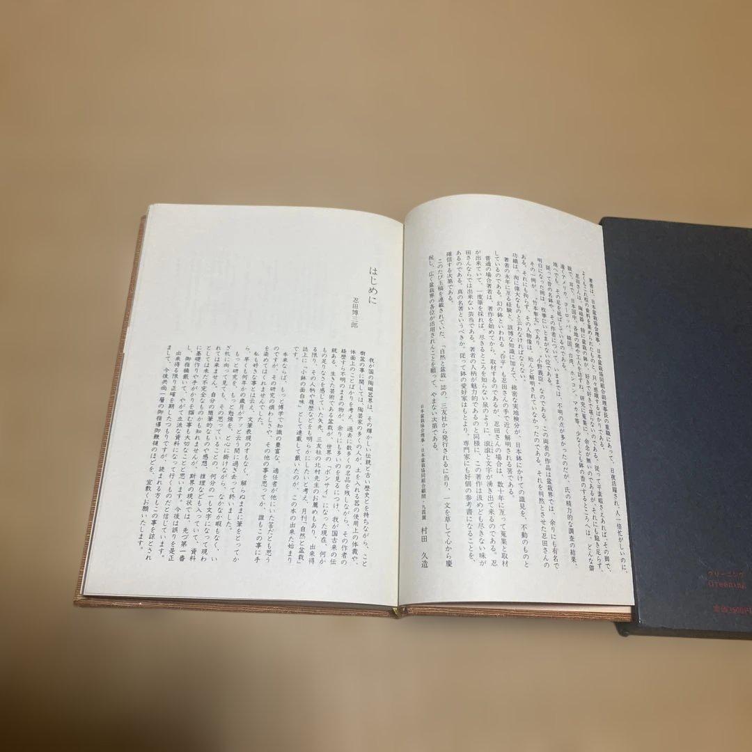 盆栽小鉢の面白味