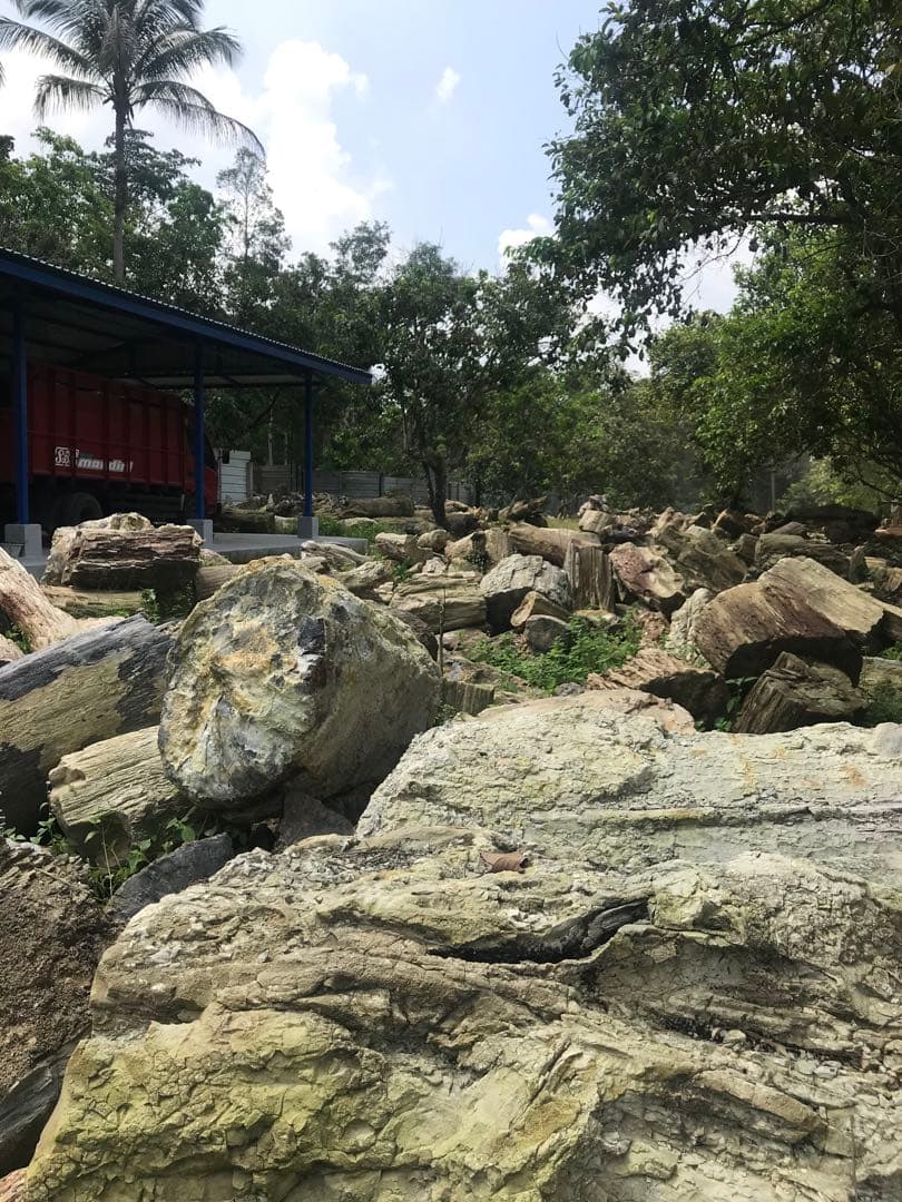 最上級品【珪化木スツール】品質保証