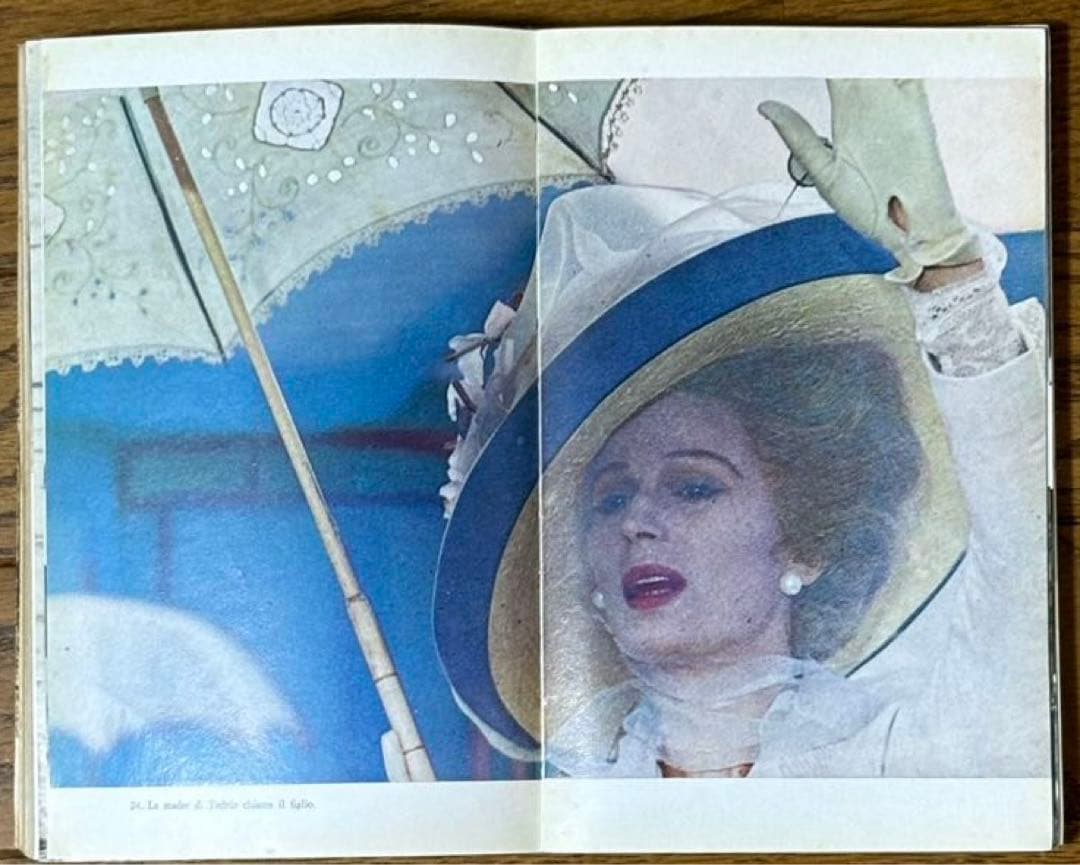 ヴィスコンティ映画本2冊イタリア語版ヴェニスに死す　ルートヴィヒ　シナリオと解説