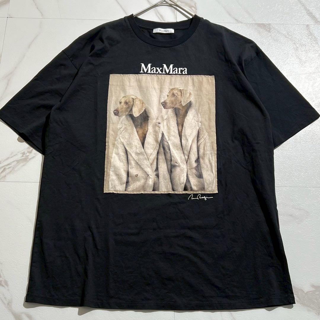 【美品】マックスマーラ 23ss プリントTシャツ 犬 白タグ コットン 黒 M