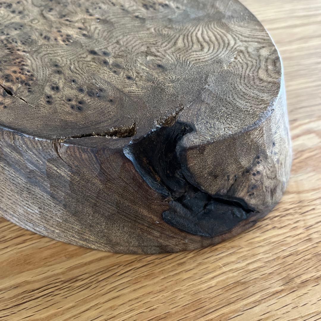 cogu オーバル皿