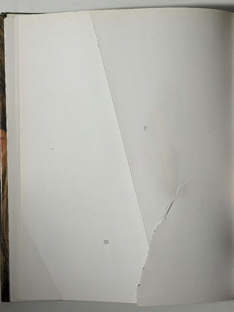 【写真集】Juergen Teller / ユルゲン・テラー（TASCHEN）