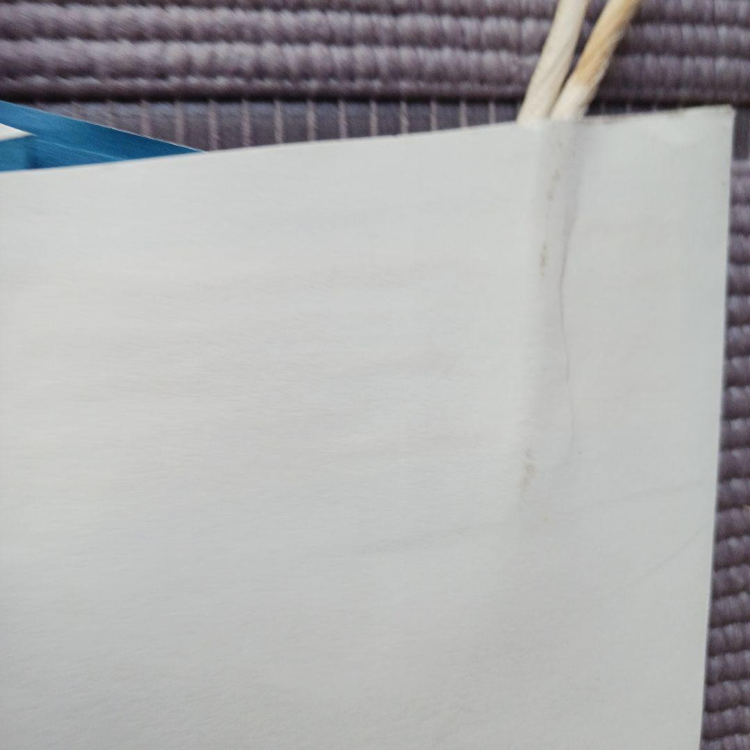 ☆新品☆　LAMY　くまモンコラボ　万年筆　サファリ　海外限定