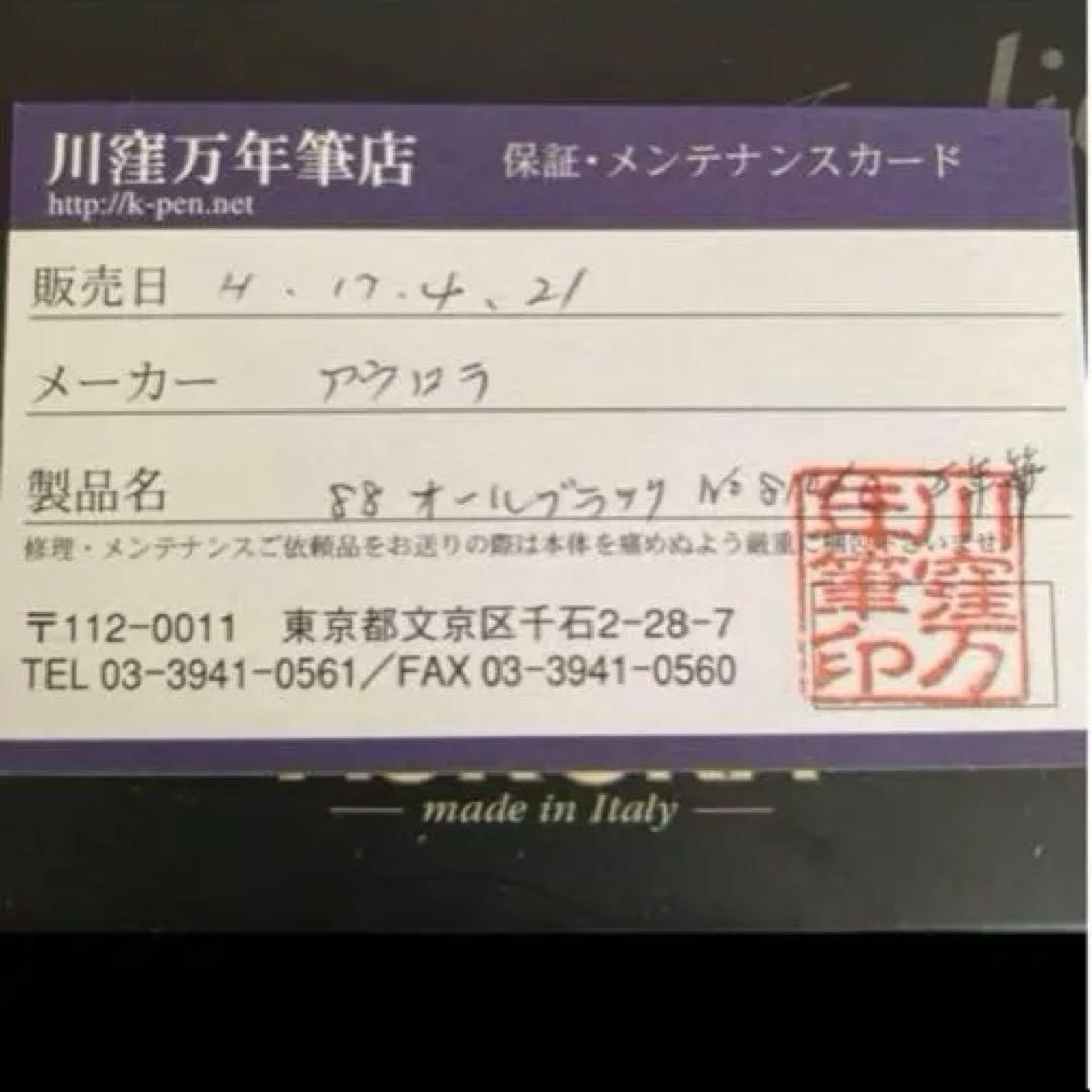 AURORA アウロラ　万年筆 黒 専用ケース付き