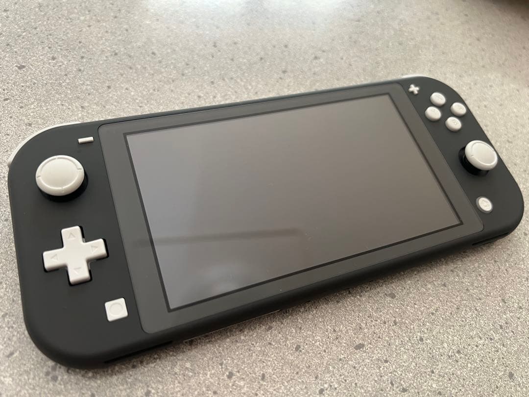 【超美品】Nintendo Switch Lite グレー 本体　ケース付き