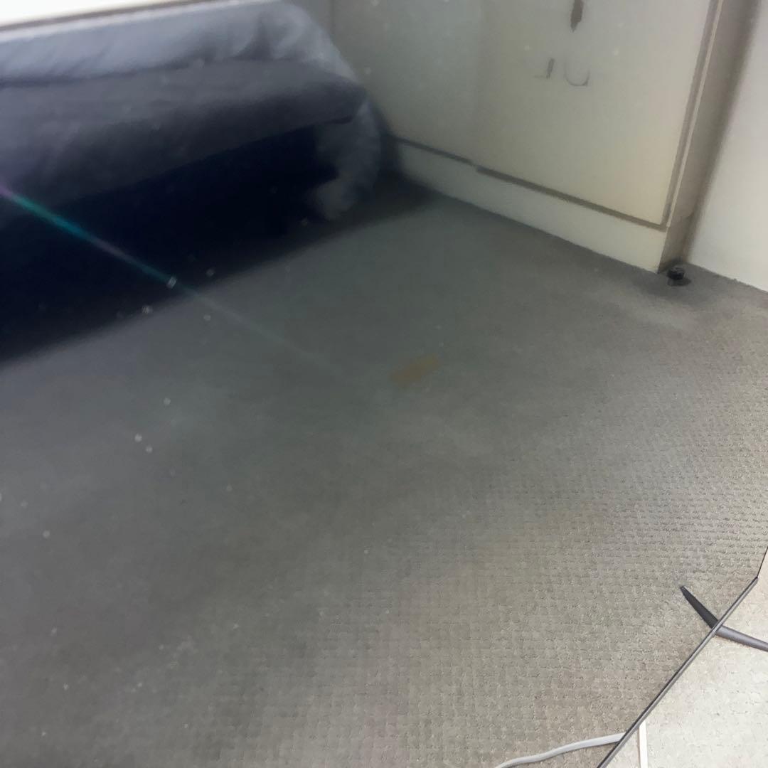 65c636 65インチ　テレビ　tcl